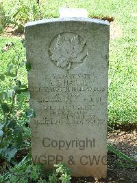 Cassino War Cemetery - Harris, Angus