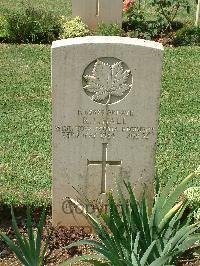 Cassino War Cemetery - Hall, Roy L.