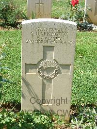 Cassino War Cemetery - Harrington, George