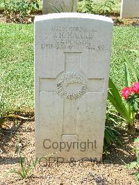 Cassino War Cemetery - Harris, Jack Hardy