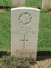 Cassino War Cemetery - Hart, Richard