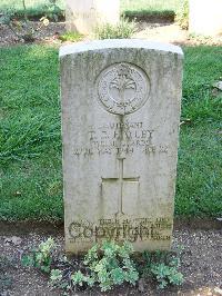Cassino War Cemetery - Hayley, Timothy Burrell