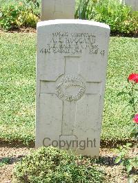 Cassino War Cemetery - Hoggard, Angus Ernest