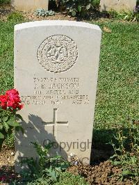 Cassino War Cemetery - Jackson, John Benn