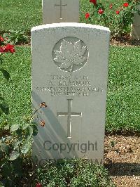 Cassino War Cemetery - Krasnuik, Anthony