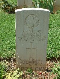 Cassino War Cemetery - Krysowaty, Sam