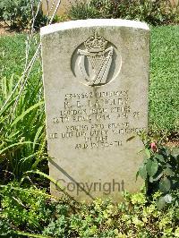 Cassino War Cemetery - Langley, Ronald Edgar