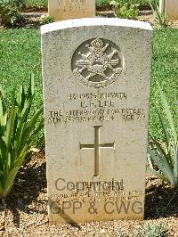 Cassino War Cemetery - Lee, Edward Frederick