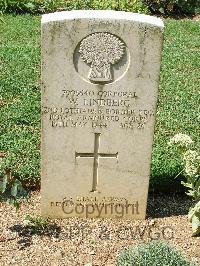 Cassino War Cemetery - Lindberg, William