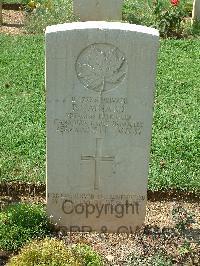 Cassino War Cemetery - Maynard, Percy