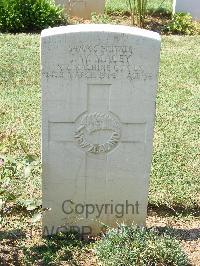Cassino War Cemetery - MacEy, John William