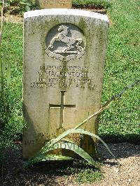 Cassino War Cemetery - MacKintosh, Victor