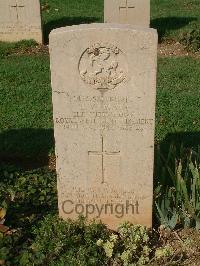 Cassino War Cemetery - Main, Thomas William