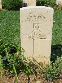Cassino War Cemetery - Malloy, Anthony