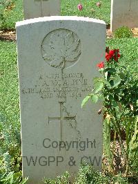 Cassino War Cemetery - McAlpine, James Alberta