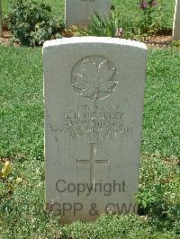 Cassino War Cemetery - McAuley, Raymond Herbert