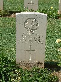 Cassino War Cemetery - McCabe, Gilmore David