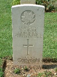 Cassino War Cemetery - McKee, William George