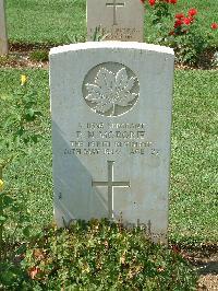 Cassino War Cemetery - McRorie, Peter Norman