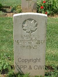 Cassino War Cemetery - Neill, Mathew James