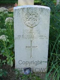 Cassino War Cemetery - Newman, Douglas