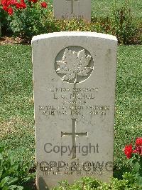 Cassino War Cemetery - Nichol, Everett Clinton