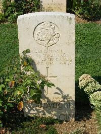 Cassino War Cemetery - Orchard, William Nelson