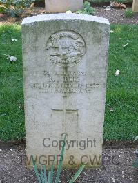 Cassino War Cemetery - Rees, Reginald John