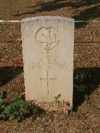 Cassino War Cemetery - Rollins, George