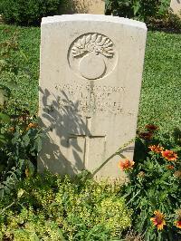 Cassino War Cemetery - Rose, William Llewellyn