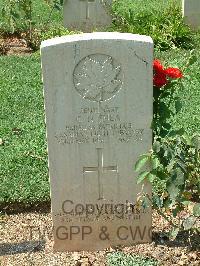 Cassino War Cemetery - Shea, Cecil Nelson