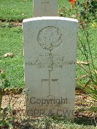 Cassino War Cemetery - Snively, Douglas Schuyler