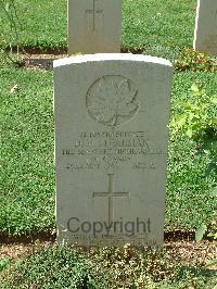 Cassino War Cemetery - Steadman, David Myron