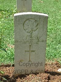 Cassino War Cemetery - Steele, Carson James