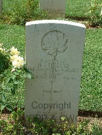 Cassino War Cemetery - Tessaro, Harold