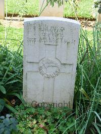 Cassino War Cemetery - Tama, Ruka