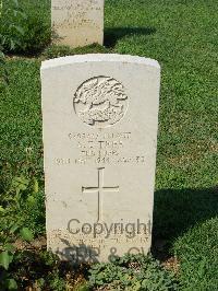 Cassino War Cemetery - Tree, Albert Ernest