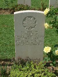 Cassino War Cemetery - Wilkinson, Donald
