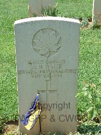 Cassino War Cemetery - Wylie, Alexander Holmes