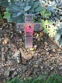 Cassino War Cemetery - Waddell, David
