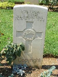 Cassino War Cemetery - Walker, William