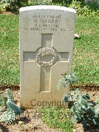 Cassino War Cemetery - Warren, George