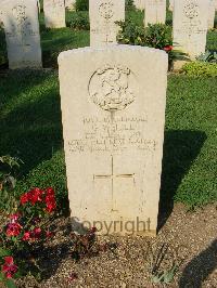 Cassino War Cemetery - Weigle, George