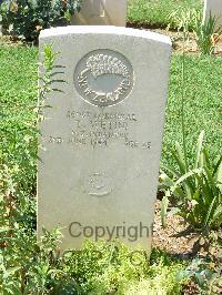 Cassino War Cemetery - Wetini, Tim