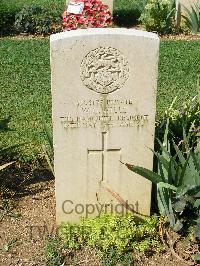 Cassino War Cemetery - Wills, Wilfred George
