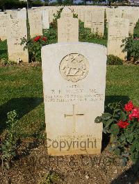 Cassino War Cemetery - Wilson, Percy Powell