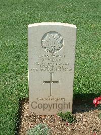 Cassino War Cemetery - Wilson, Roy