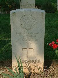 Cassino War Cemetery - Wisley, William John