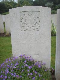 Etaples Military Cemetery - Davies, William Bourne