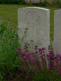 Etaples Military Cemetery - Dodd, W